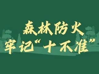 警惕！蕉岭县森林火险橙色预警信号生效