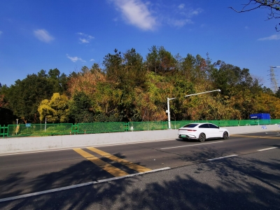 守护司乘夜间安全！223省道部分路段加装防眩网 