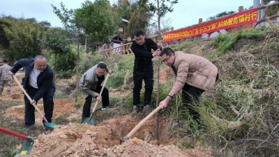 增绿添彩！市农林科学院在大埔大东镇开展植树活动