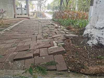 公园地砖松动翘起，行人容易“中招”，相关部门：将尽快查看