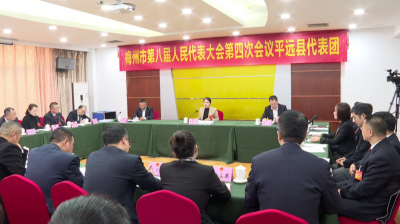 市八届人大四次会议平远县代表团审议市政府工作报告