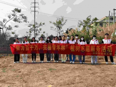 从立春出发，党团携手向“绿”前行！兴宁市兴田街道开展植树活动
