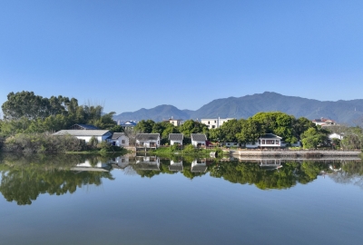 寿乡蕉岭·桂花