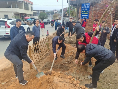 党建引领添新绿！兴宁市罗岗镇开展乡村绿化种植技术现场培训会