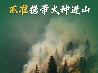 森林防火常识，这些要谨记！