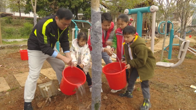 家有喜事？来种树！