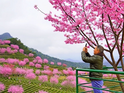拍视频促融合，崇廉洁强党性！梅州日报社开展主题党日活动
