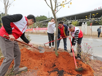 同绘“美家园” 共写“绿文章”！梅州发动社会各界参与县镇村绿化，擦亮“百千万工程”绿色底色