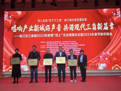 梅江区三角镇举行2023年新增“四上”企业授牌仪式暨2024年春节联欢晚会
