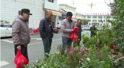 平远：春种好时节 苗木市场俏