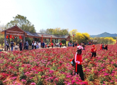 平远春节游客络绎不绝，文体活动精彩不断！