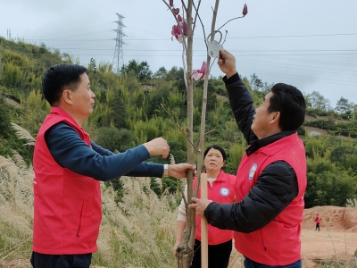 不负春光添新绿！大埔高陂镇掀起植树造林热潮