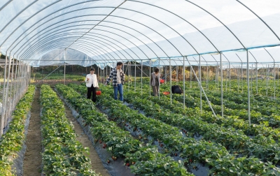 农文旅融合发力，省“百千万工程”首批典型村泮坑村“出圈”！