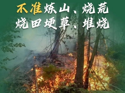 森林防火常识，这些要谨记！
