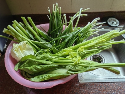 正月初七吃“七样菜”，捡金又捡银，你吃了吗？