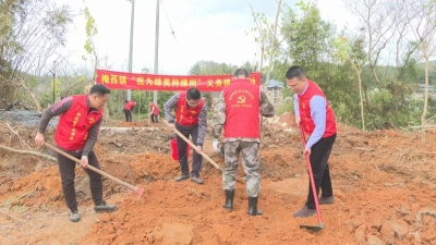 乡村绿化在行动丨梅县区梅西龙增村：携手植树添新绿 共绘绿美新画卷