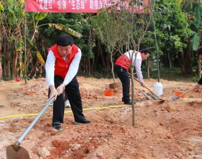 宋才华参加兴宁市委办第一党支部“党建红”引领“生态绿”助推绿美兴宁植树活动