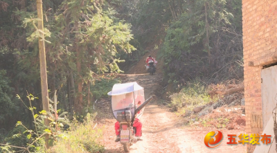 全力守护绿水青山！五华县河东镇多措并举织牢织密森林防火网