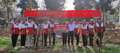 结对共建“青山夕照林”！市委老干部局到大埔县桃源镇新东村开展植树活动  