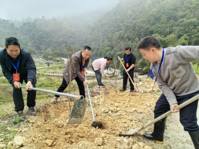 正是植树时，代表来添绿