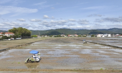 绘就“科技范”春耕图！蕉岭县“火力全开” 做好春耕农业生产工作