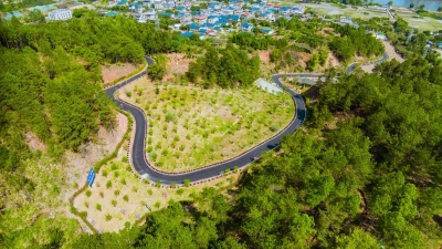  充“植”家园 点“绿”寿乡！蕉岭县凝心聚“绿”，全力打造绿美广东梅州样板蕉岭示范