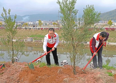 周小勇到石正镇参加植树活动并开展调研：为“百千万工程”走深走实赋绿能、添绿彩