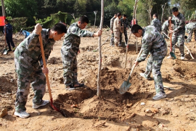 种下一颗“从军树” 立下满腔报国志