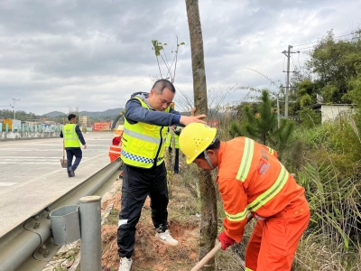 助力绿美乡村建设！揭博高速掀起植树热潮
