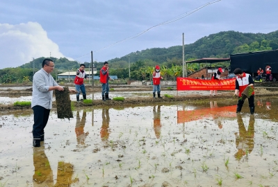 “党旗红”助力“春耕绿”！看，田间地头有他们的身影...