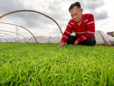 抢抓农时！梅州正在奏响备战春耕“协奏曲”