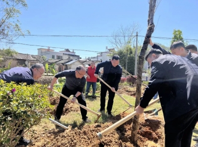 丰顺县大龙华镇积极开展机关联基层共建共管绿美丰顺大行动植树活动