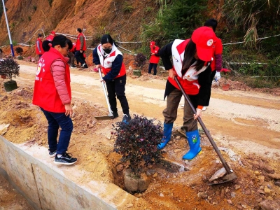 不负好春光！平远地方志办开展绿美梅州“千村增绿先锋行”植树活动