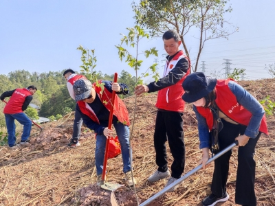 梅江区江南街道开展“六社联动聚合力 共建‘党员先锋林’”主题党日活动