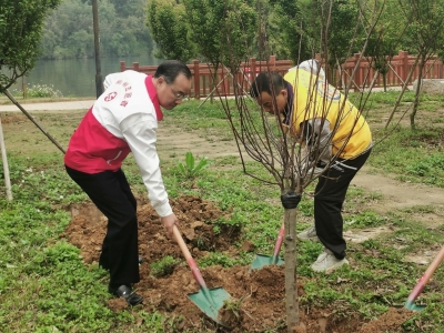 不负春光添新绿 凝心聚力增春色！ “绿美梅州情 共建狮子林”植树活动在梅江区举行