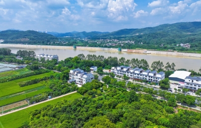 梅州“百县千镇万村高质量发展工程”取得显著成效！一起来看→