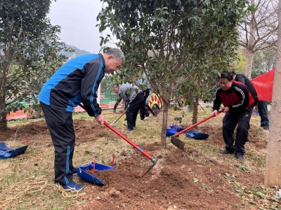 聚“蕉”城镇绿化，引“岭”绿色发展！蕉岭县举行“城建林”植树活动
