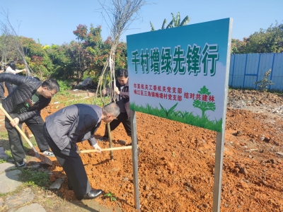 扶苗、栽植、浇水...市直机关工委机关党支部为梅塘村添“新绿”！