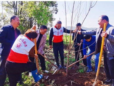 廿林添绿正当时！梅州开放大学与兴宁刁坊镇结对共植“开放教育林”