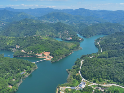 人防技防并重 守护绿水青山！大埔积极构建“天空地”一体化防火监测体系筑牢森林防火墙