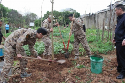 军地共建“国防林”，为梅江区续添新绿