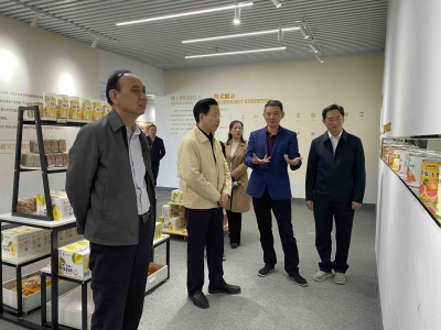 马志元到大埔县开展专题调研：加力提速推进“百千万工程”