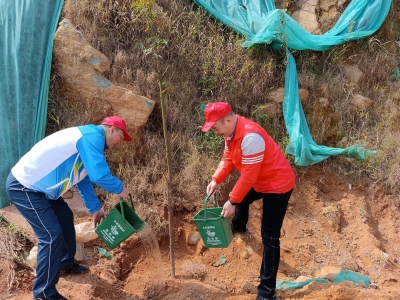 为绿充“植”！市供销合作社开展“千村增绿先锋行”植树主题党日共建活动