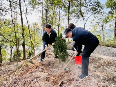 省退役军人事务厅来梅开展“绿美广东”植树活动并调研乡村振兴对口帮扶工作