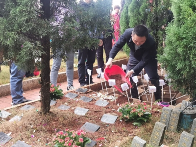 梅江区举行第六届节地生态树葬公益活动