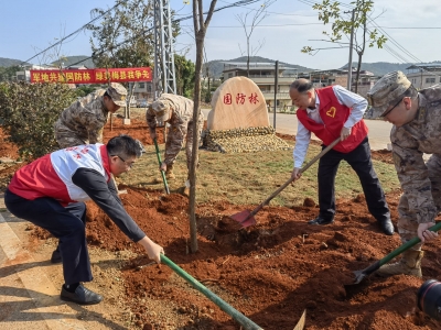 植树共叙鱼水情深！今天，他们共同植下一片国防林、双拥林