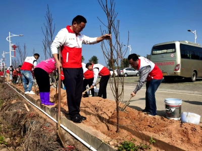 梅州市残联开展绿美梅州“千村增绿先锋行”主题党日活动