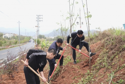 走，种树去！市直机关工委联合开展植树造绿活动