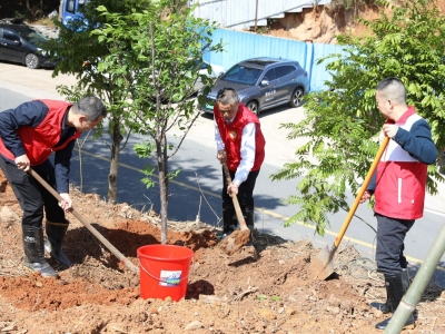 蕉岭县蕉城镇开展“全面推进乡村绿化  建设美丽宜居广东”义务植树活动