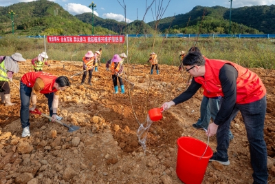 “一对一”结对共建 “手拉手”共绘绿美！梅州机关企事业单位积极为乡村增绿添彩